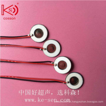 Micro Chip 10mm Guangdong Strength Manufacturers